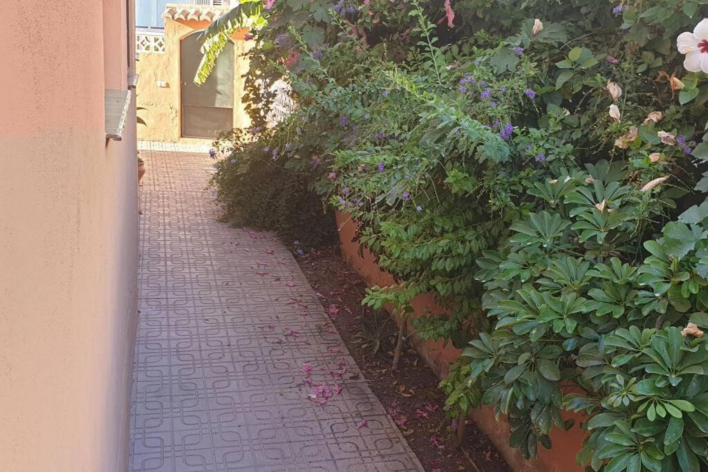 Casa Hurtado De Mendoza Pequena Almuñécar المظهر الخارجي الصورة